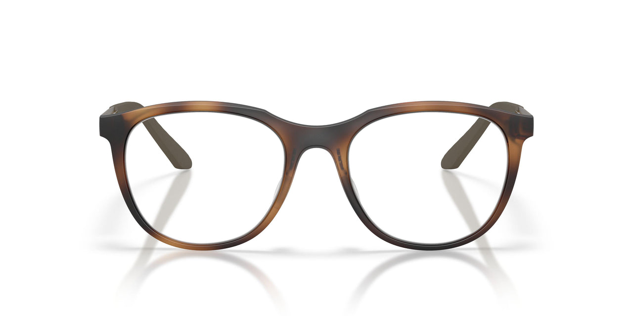 802805 - Tortoise
