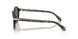 623573 - Tortoise - Brown