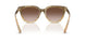 420113 - Brown - Brown Gradient