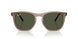 845731 - Brown - Green
