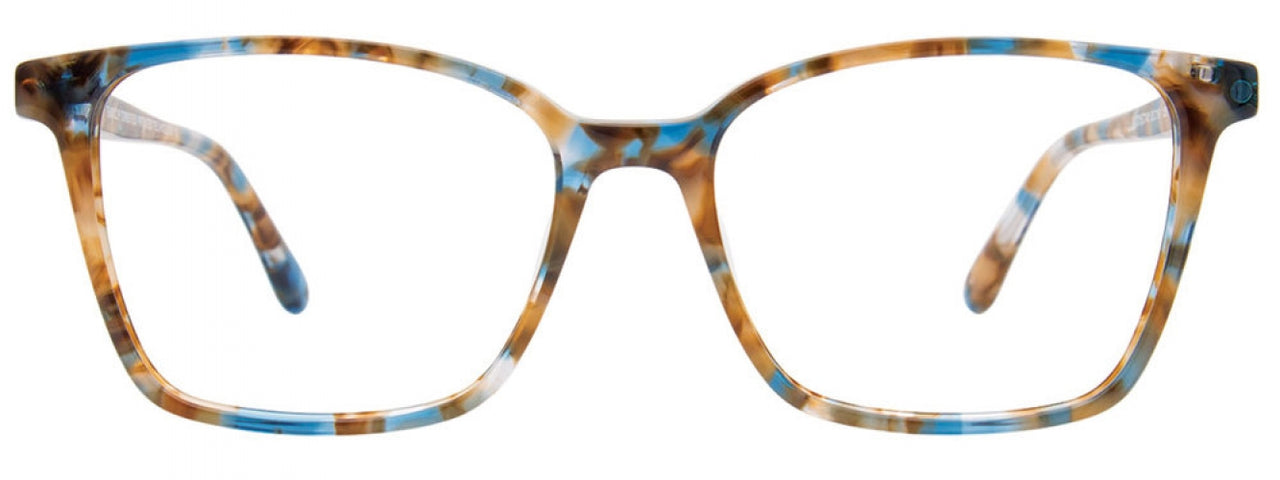 50 - Blue & Brown Tortoise