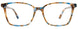 50 - Blue & Brown Tortoise