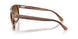 142351 - Tortoise - Clear Gradient Brown