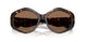 196473 - Tortoise - Brown