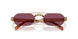7OE30Y - Brown - Dark Violet