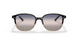 1326GE - Havana - Pink Grad Blue Grad Grey