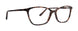 XOXO XOANDALUSIA Eyeglasses