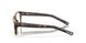 801504 - Tortoise