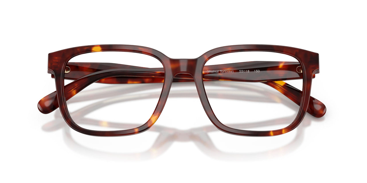 5938 - Tortoise