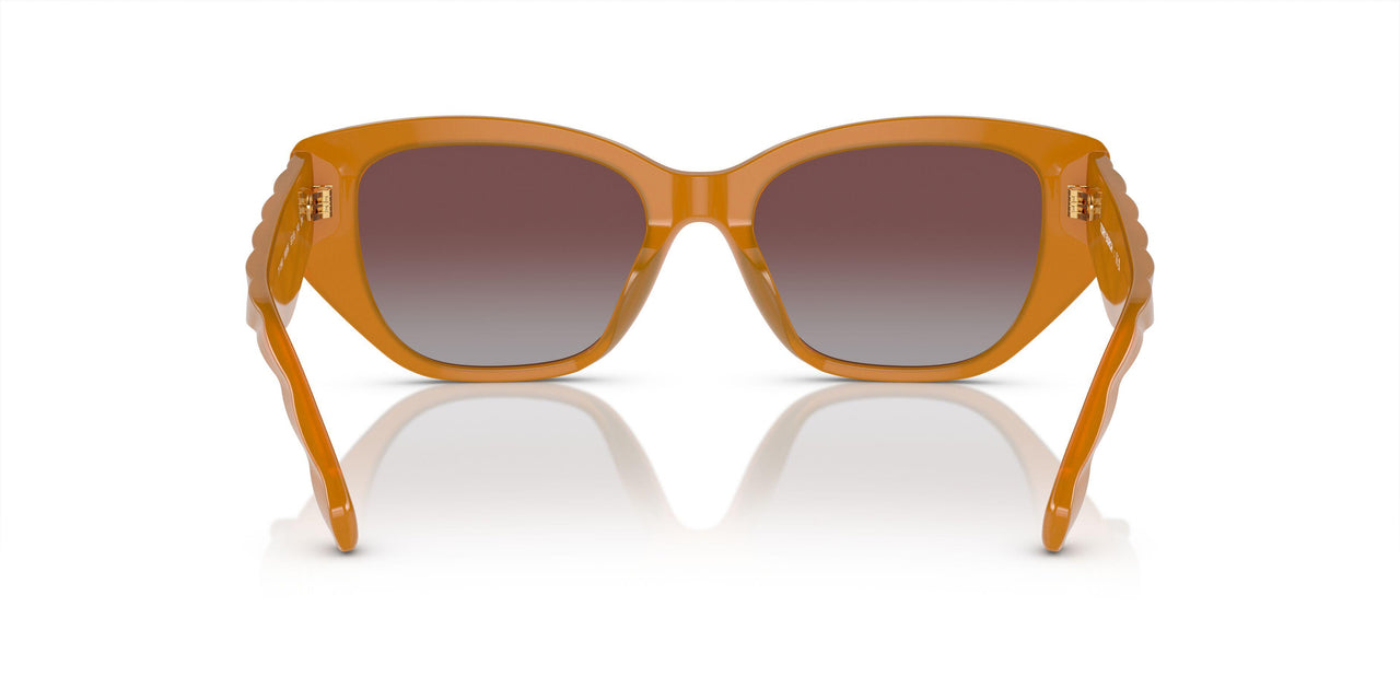 19586K - Brown - Violet Mirror Gold