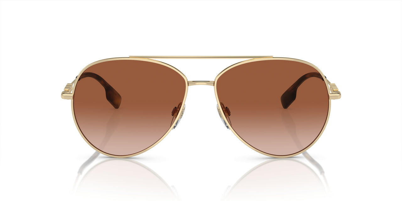 110913 - Gold - Brown Gradient