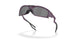 952909 - Violet - Prizm Black Polarized