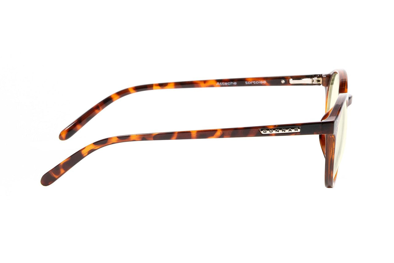 02309200 - Tortoise - Clear