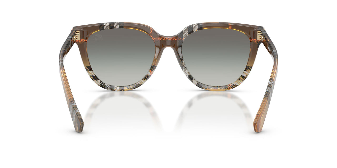 420211 - Brown - Grey Gradient