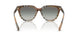 420211 - Brown - Grey Gradient