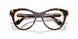 1002 - Brown
