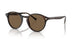 W65673 - Havana - Dark Brown