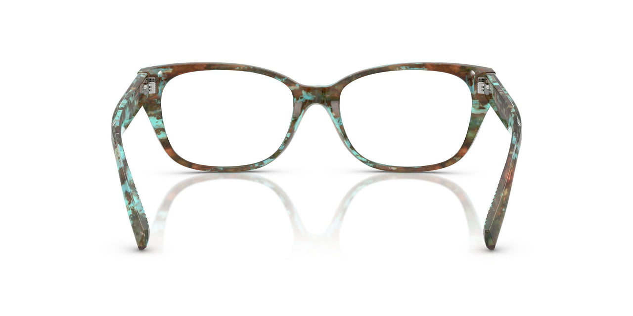 8422 - Tortoise
