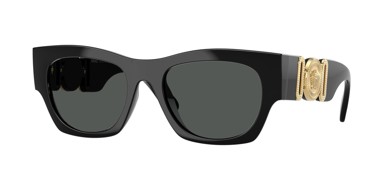 Versace 4479U Sunglasses