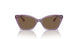 306473 - Transparent Violet - Dark Brown