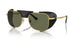114958 - Gold - Polarized Green