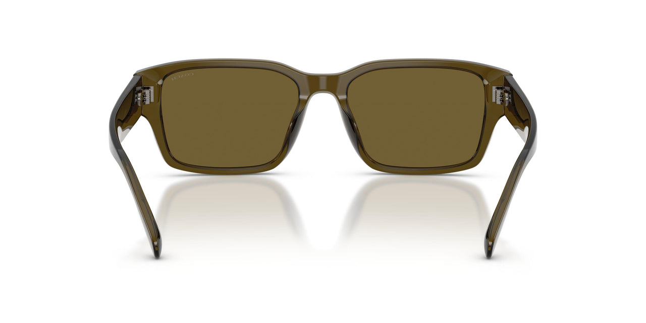 591073 - Green - Green Solid