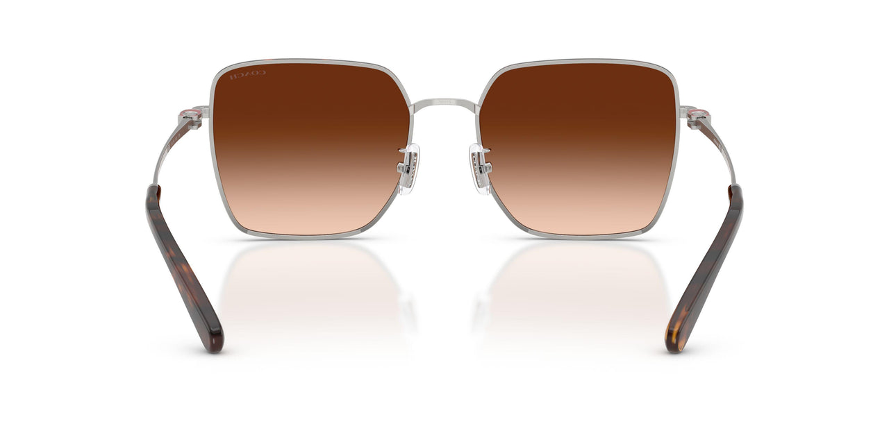94775M - Silver - Brown Gradient