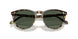 31869A - Tortoise - Dark Green Polar
