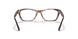 5903 - Tortoise