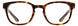 Adin Thomas AT676 Eyeglasses