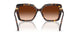 100274 - Tortoise - Gradient Brown