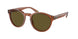 Polo 4192F Sunglasses