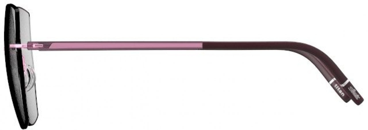 3640 - rose