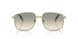10242C - Gold - Gradient Brown