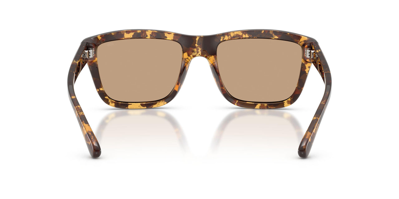 201363 - Tortoise - Solid Brown