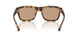 201363 - Tortoise - Solid Brown