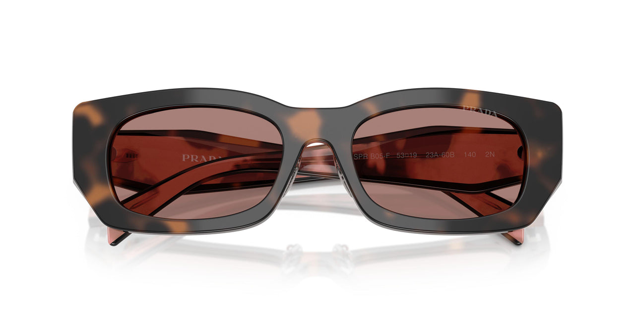 23A60B - Tortoise - Light Brown