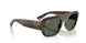 679071 - Tortoise - Green