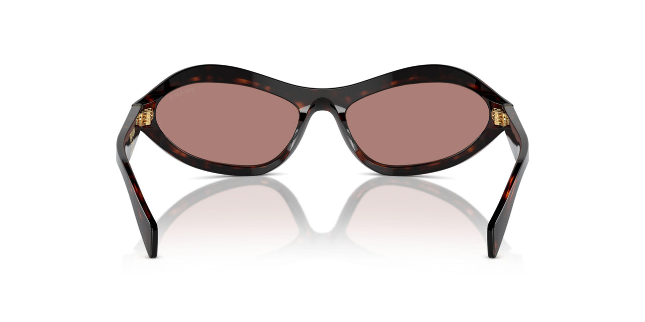 17N10D - Tortoise - Light Brown