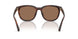 512073 - Tortoise - Brown Solid