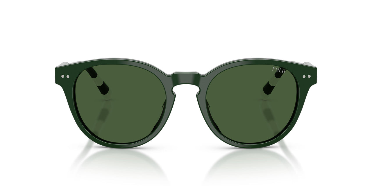 631671 - Green - Dark Green