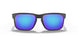924448 - Black - Prizm Sapphire Polarized
