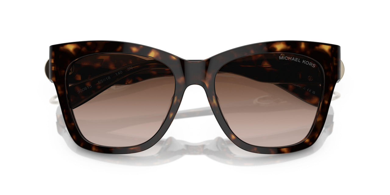 300613 - Tortoise - Brown Gradient