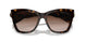300613 - Tortoise - Brown Gradient