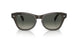 664271 - Green - Grey Gradient