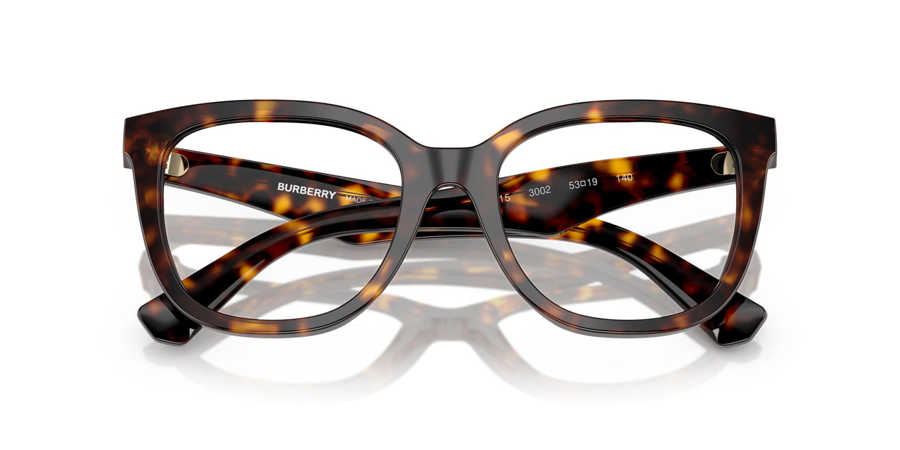 3002 - Brown