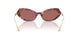 344469 - Tortoise - Dark Violet