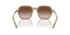 834213 - Brown - Gradient Brown