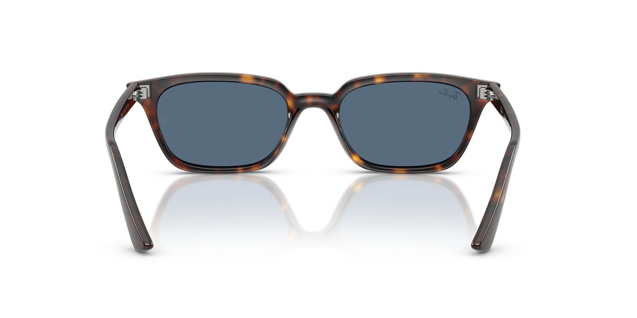 135980 - Tortoise - Dark Blue