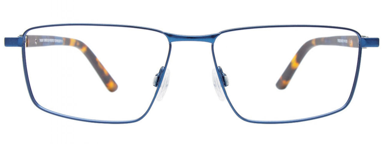 50 - Blue / Blue & Brown Tortoise